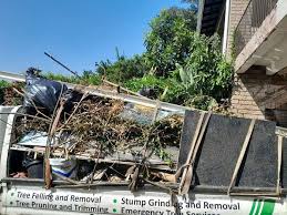 Moving and Downsizing Cleanouts in Jacksonville, IL